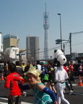 2011東京マラソン＆スカイツリー.jpg