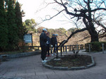 千鳥ヶ淵.jpg