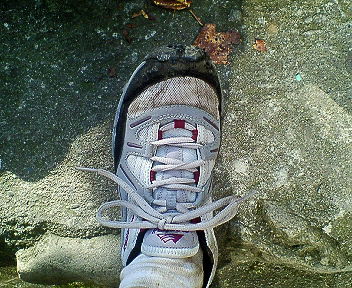 200708191542001.jpg