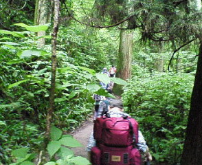 NEC_0076.jpg