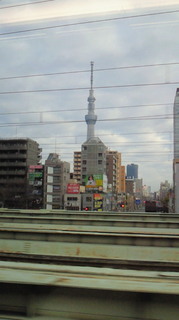 NEC_0560.jpg
